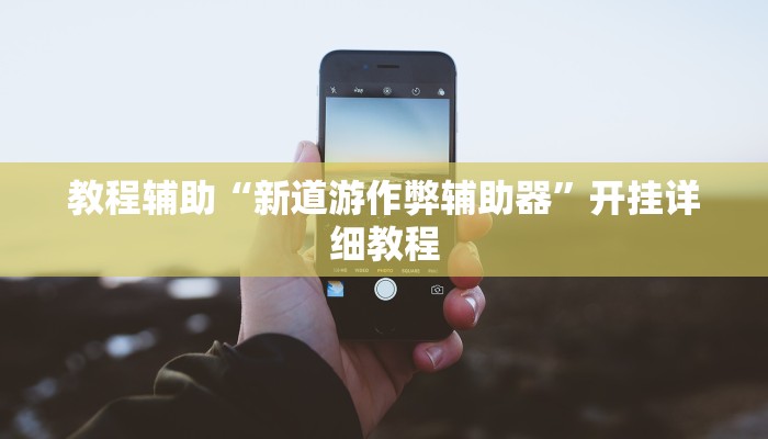 教程辅助“新道游作弊辅助器”开挂详细教程
