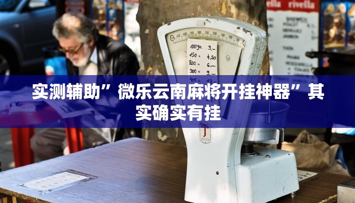 实测辅助”微乐云南麻将开挂神器”其实确实有挂