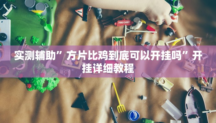 实测辅助”方片比鸡到底可以开挂吗”开挂详细教程