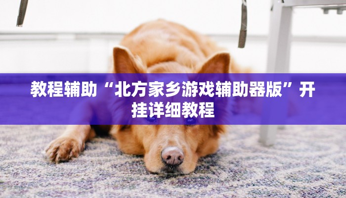 教程辅助“北方家乡游戏辅助器版”开挂详细教程