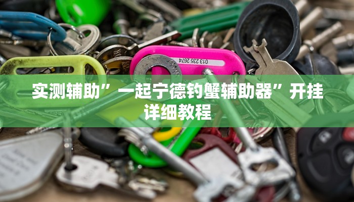 实测辅助”一起宁德钓蟹辅助器”开挂详细教程