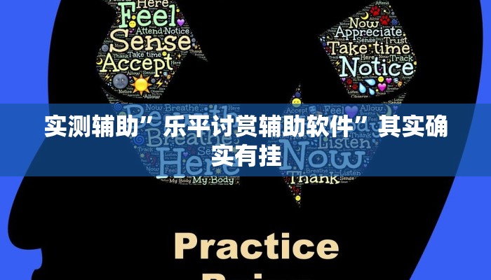 实测辅助”乐平讨赏辅助软件”其实确实有挂