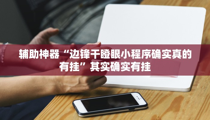 辅助神器“边锋干瞪眼小程序确实真的有挂”其实确实有挂