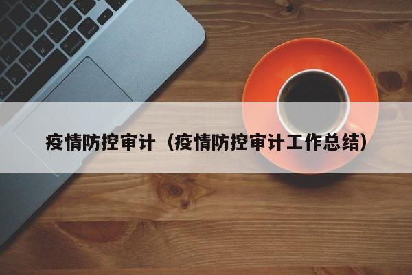 疫情防控审计（疫情防控审计工作总结）